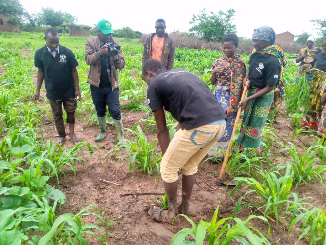 Agricultural consultancy